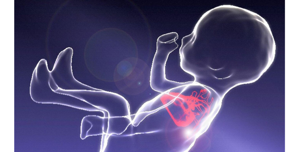 Life-saving, cutting-edge cardiac advances showcased at Arab Health 2023